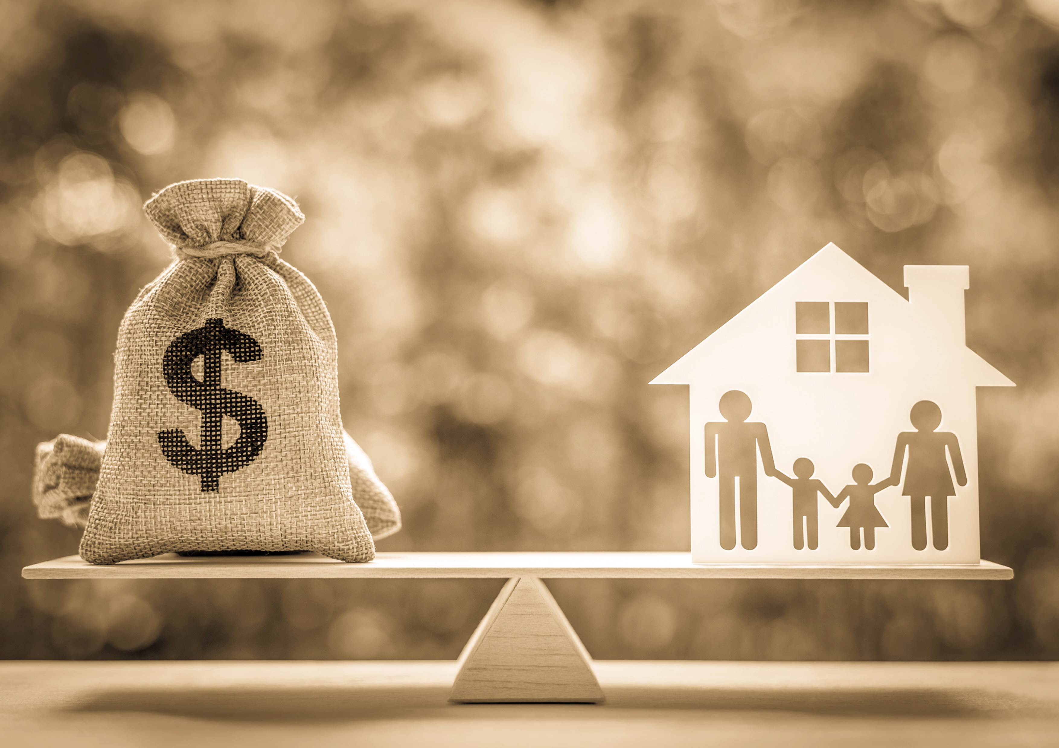 اقتصاد خردمند، خانواده پایدار